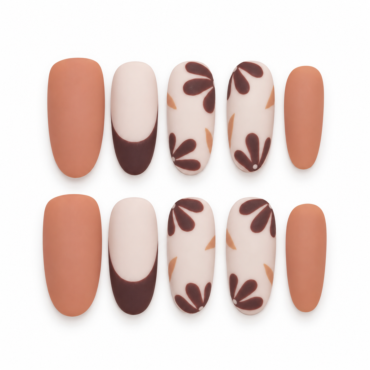 Brown Daisy