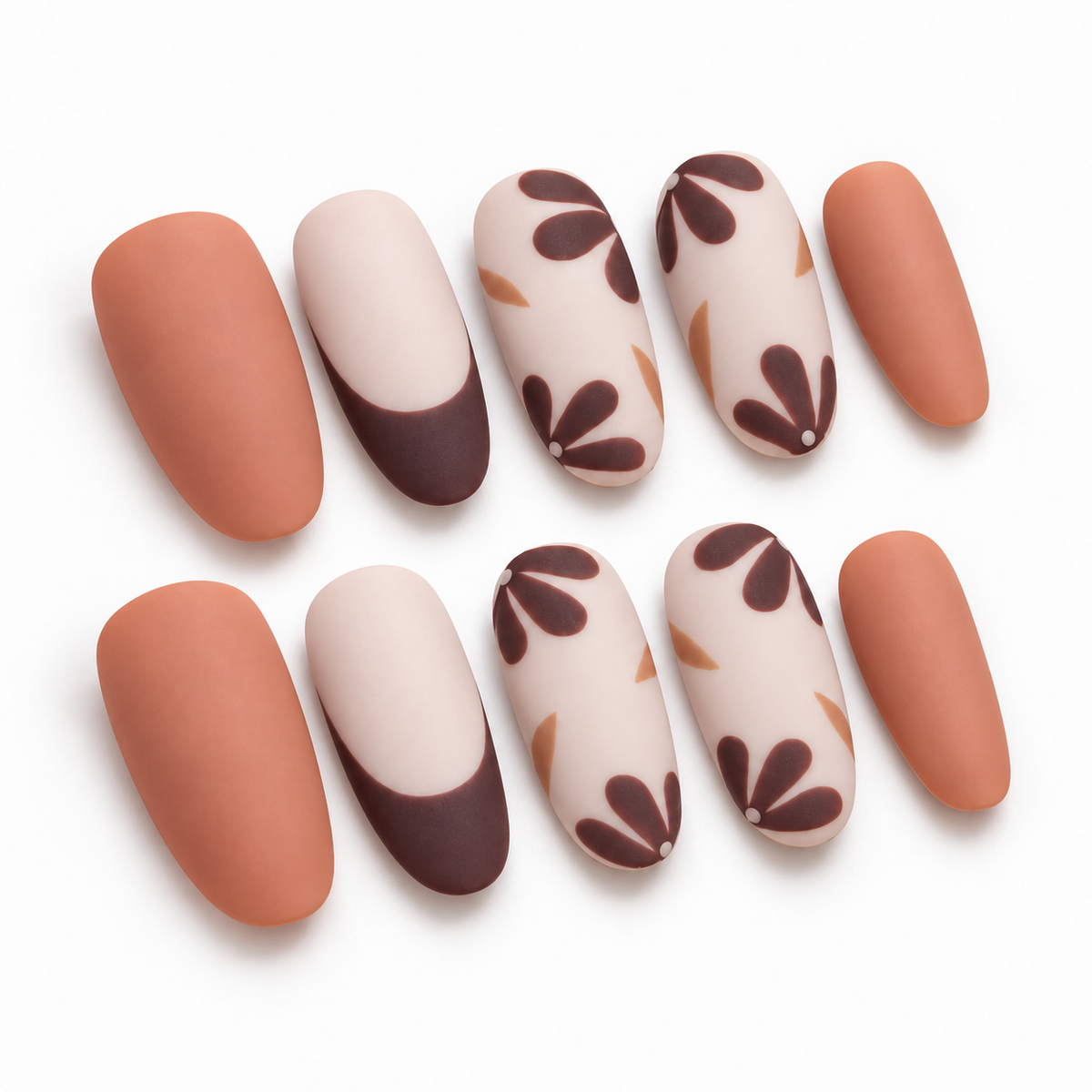 Brown Daisy
