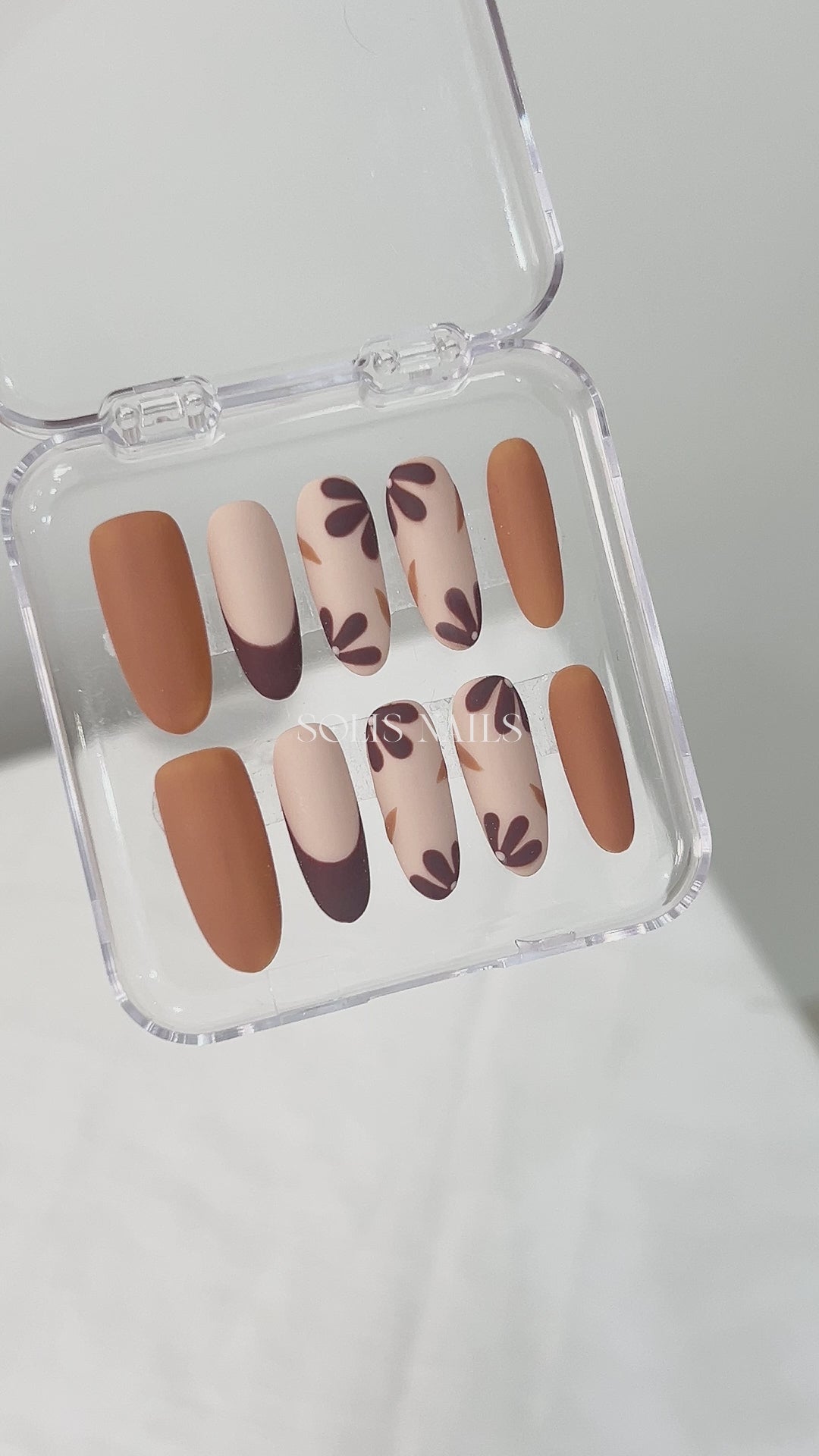 Brown Daisy